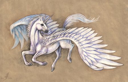 Alvia Alcedo лошади