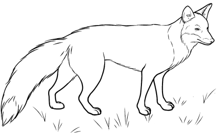 Рисунок лисы карандашом для детей