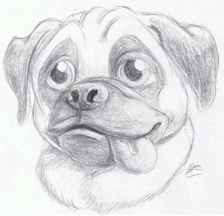 Рисунок собаки для срисовки