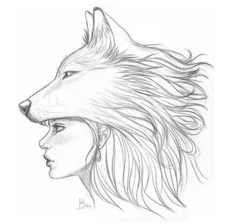 Коала. Раскраска