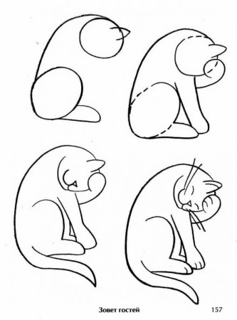 Белка этапы рисования