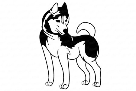 Рисунки животных ручкой лёгкие