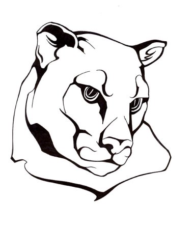 Голова зебры