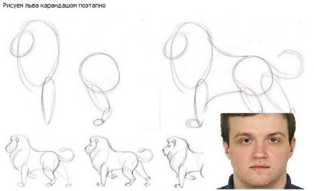 Странные Наброски