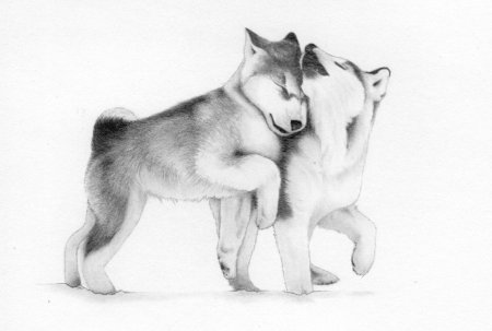 Добрые рисунки карандашом