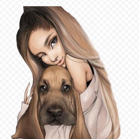 Рисунки жывотных карандаш