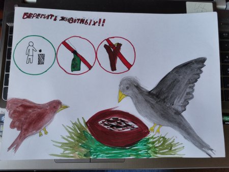 Нарисовать плакат берегите животных