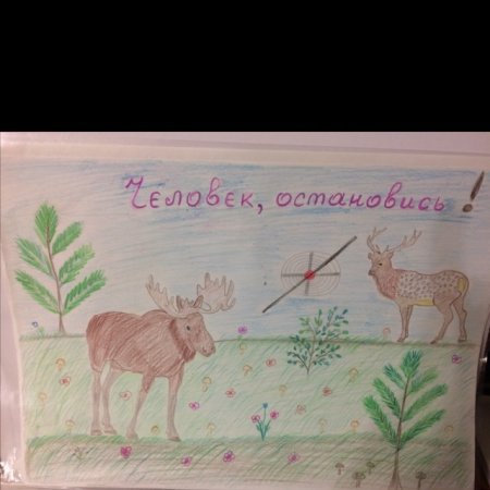 Плакат берегите животных