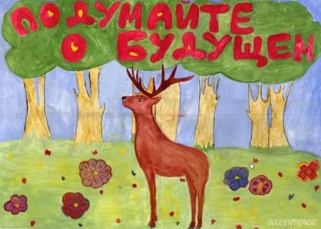 Рисунок на тему защита природы