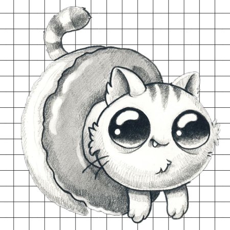 Рисунки котиков для срисовки