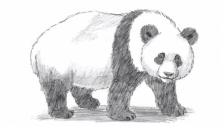 Лошадь рисунок карандашом