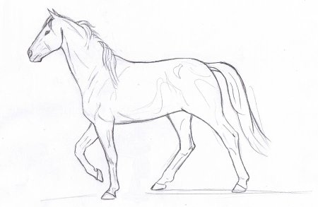 Картины карандашом