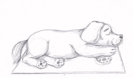 Собака лежит рисунок