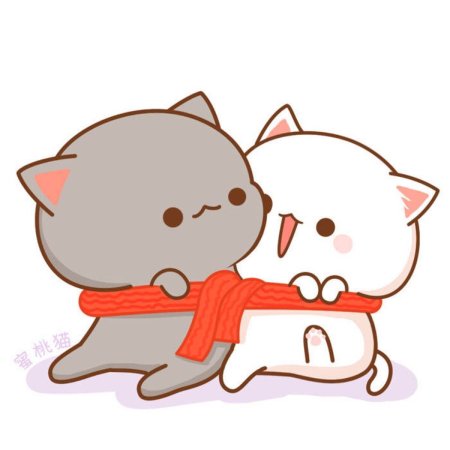 Кавайные котики любовь