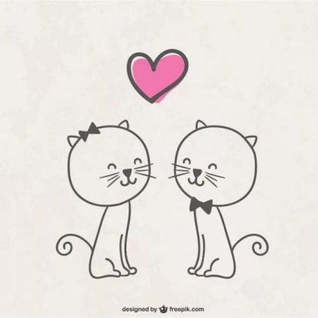 Смешные животные арт