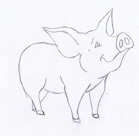 Хаски карандашом