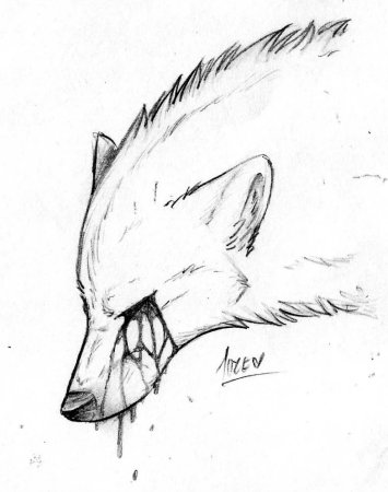 Рисунки для срисовки лёгкие собаки