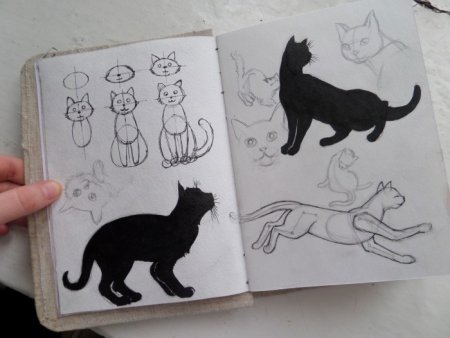 Котики для скетчбука