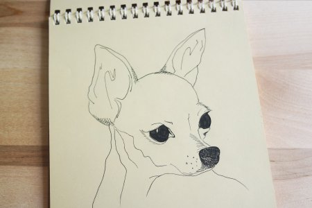 Рисунки для скетчбука для срисовки животные