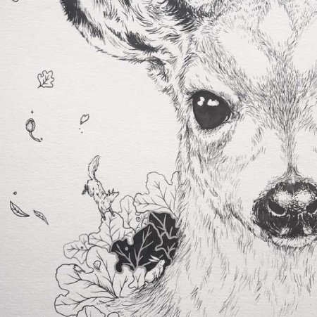 Животные ручкой