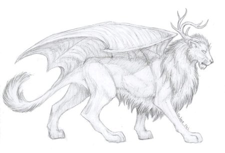 Мистические животные рисунки для срисовки