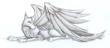 Волк с крыльями рисунок