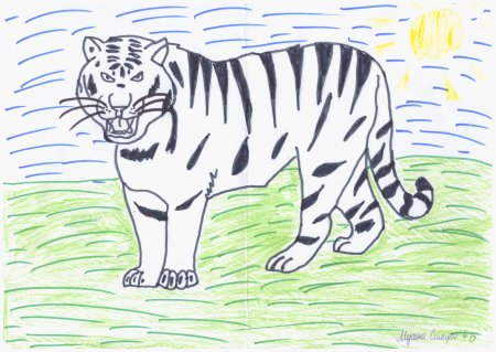 Нарисовать Амурский Уссурийский тигр