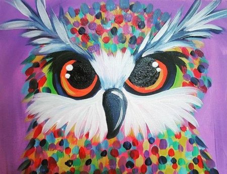 Сова красками