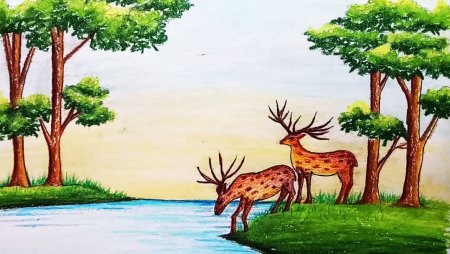 Рисунки леса для срисовки