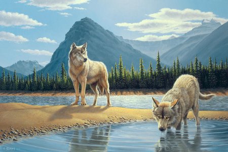 Cynthie Fisher художник картины животных