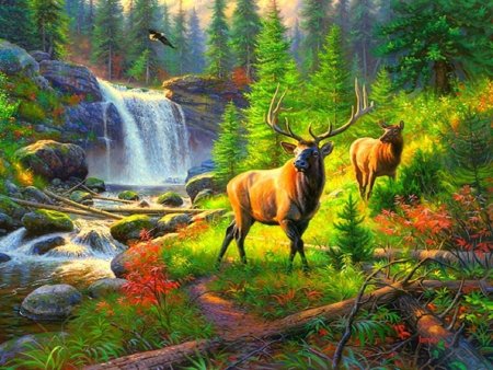 Мир заповедной природы рисунки