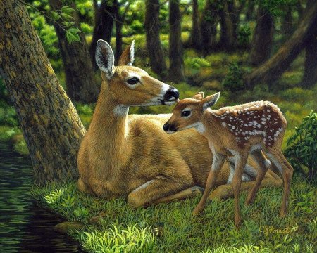 Художница Криста Форест