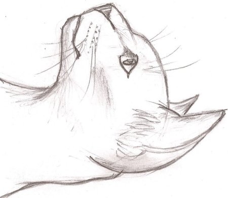 Рисунок на свободную тему легкий