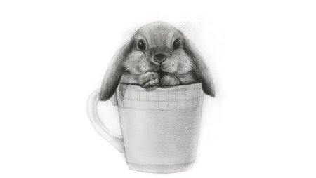 Кролик для срисовки