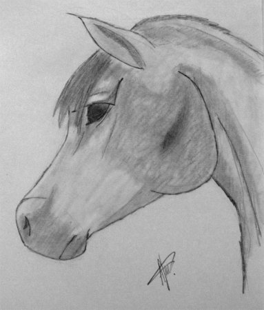 Рисунки лошадей для срисовки