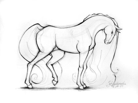 Уроки рисования лошади