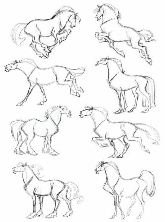 Лошадь рисунок сбоку по этапно