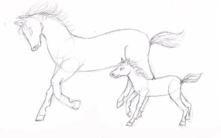 Поэтапное рисование лошади
