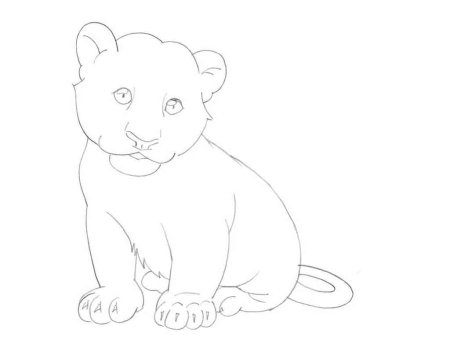 Тигренок рисунок карандашом