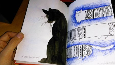 Кот карандашом в скетчбука легко