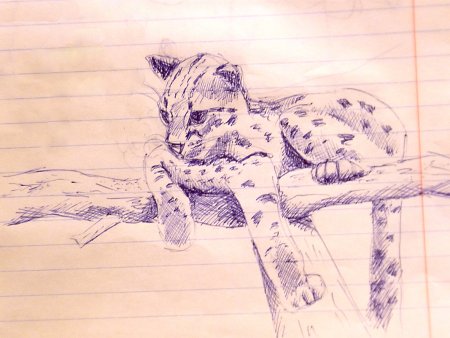 Лиса рисунок карандашом для срисовки легкие