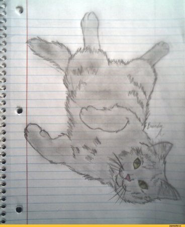 Рисунки карандашом в тетради