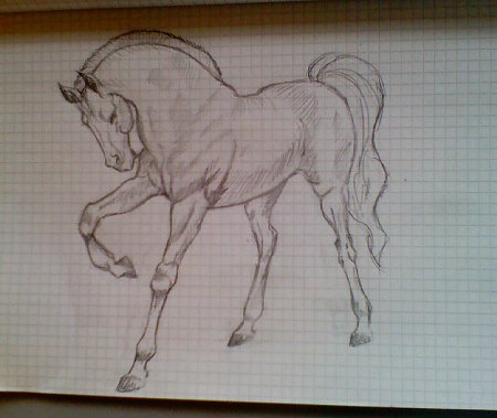 Рисунки карандашом на тетрадке