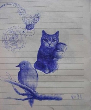 Рисунки в тетради