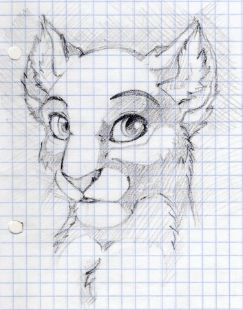 Милые Совушки карандашом