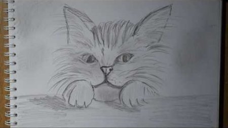 Рисунки ручкой