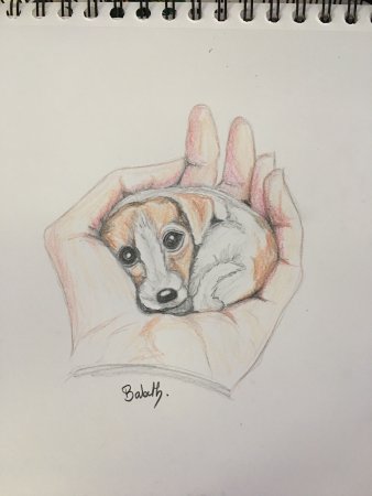 Рисунки для скетчбука собаки
