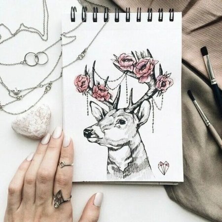 Рисунки для срисовки в скетчбук