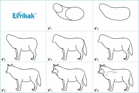 Рисунок волка для детей лёгкий