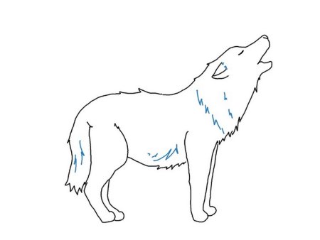 Нарисовать волка